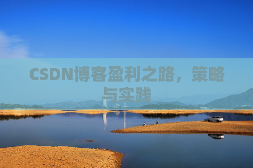 CSDN博客盈利之路，策略与实践